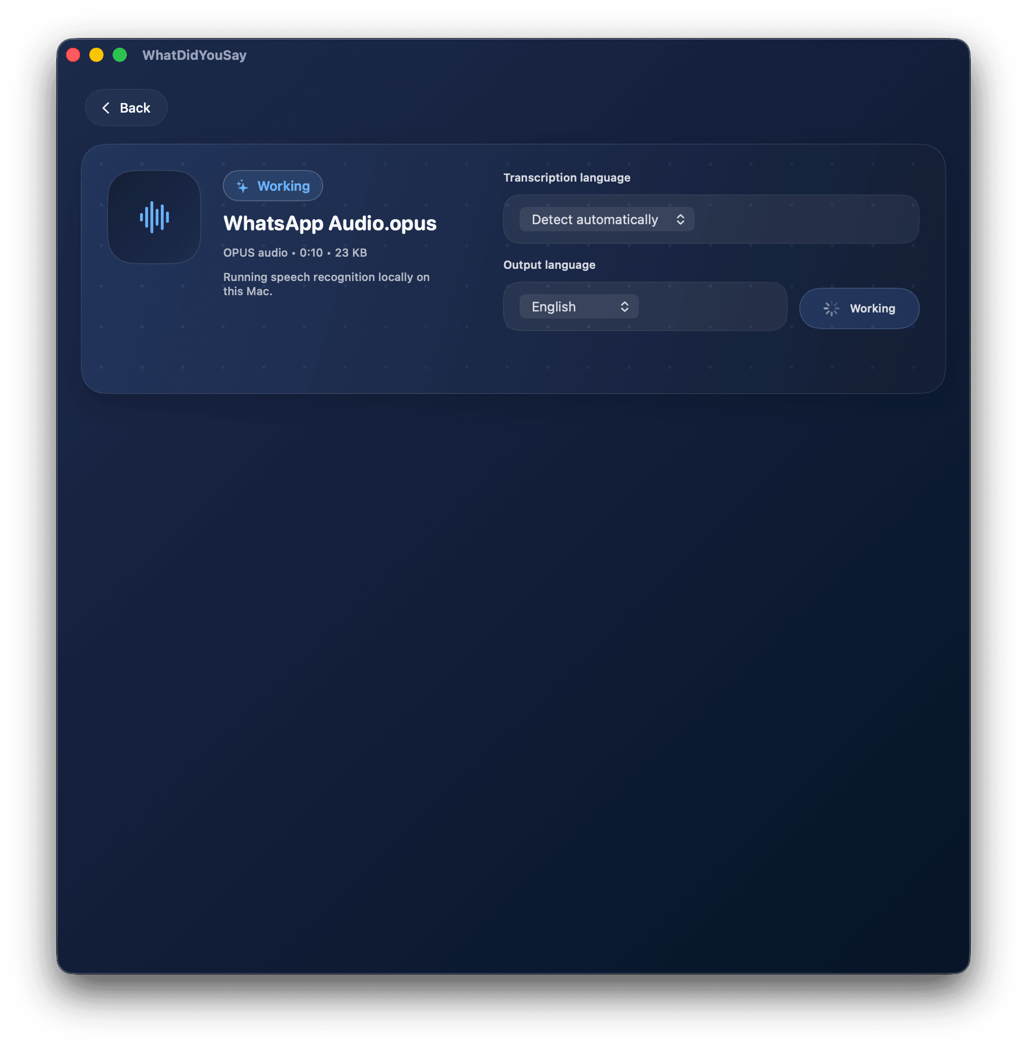WhatDidYouSay processing a file locally on Mac