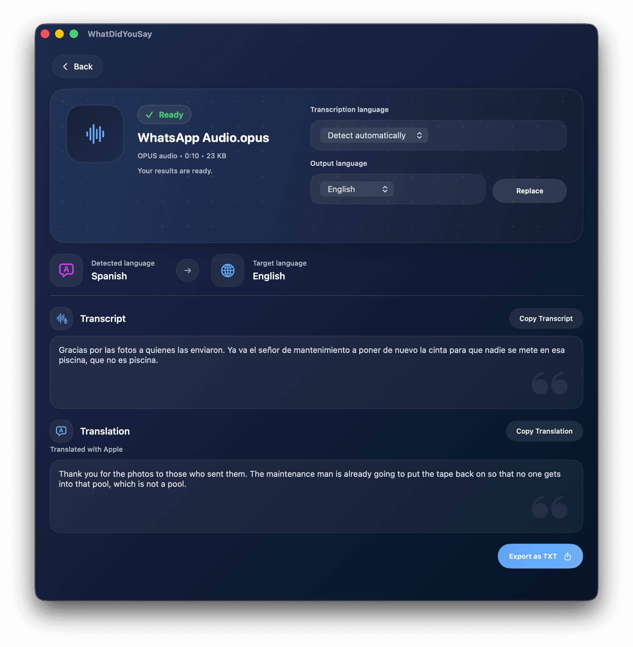 WhatDidYouSay showing translated text ready to copy or export