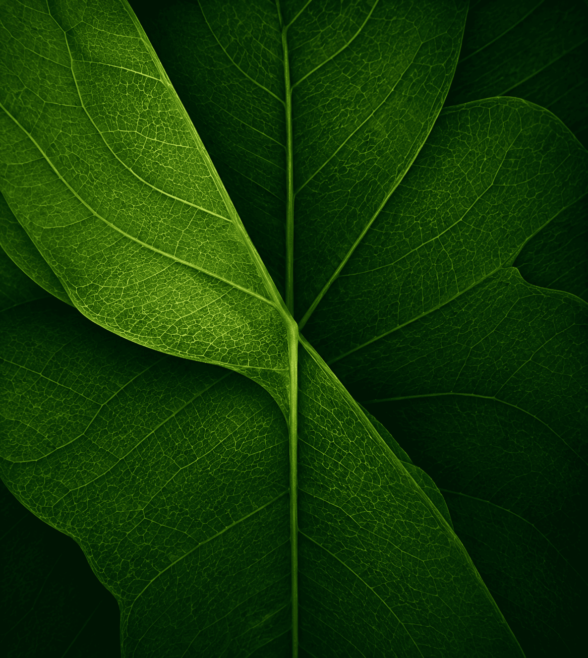Students & Educators image search sample 2